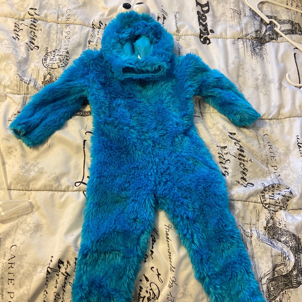 Cookie Monster costume